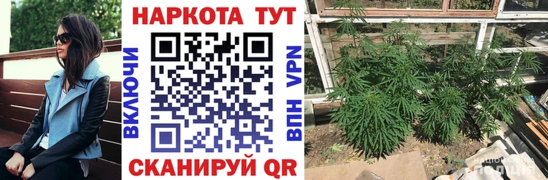 Наркошоп купить ГАШИШ  Канабис  Галлюциногенные грибы  Меф мяу мяу  Дальнегорск