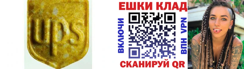 Купить закладки  Дальнегорск  Ecstasy 300 mg 