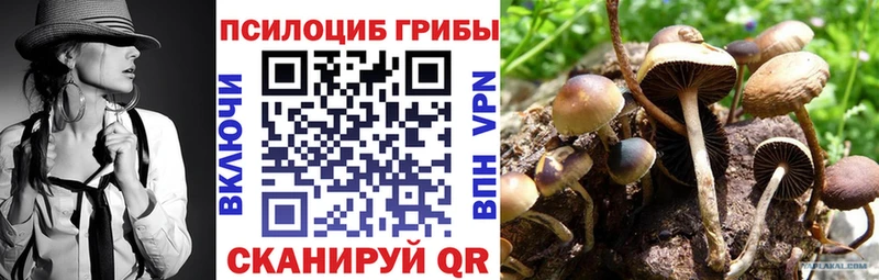 Галлюциногенные грибы Cubensis  Купить где  Дальнегорск 